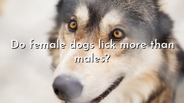 Do female dogs lick more than males?