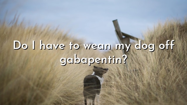 Do I have to wean my dog off gabapentin?