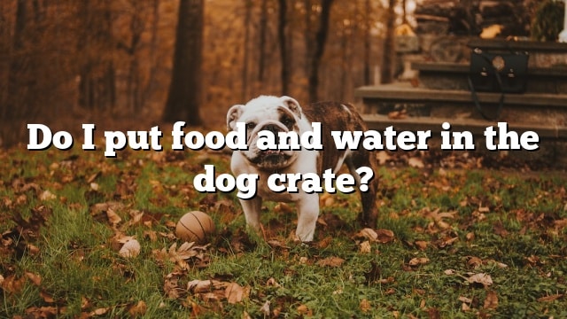 Do I put food and water in the dog crate?