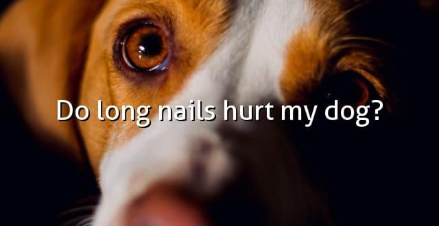 Do long nails hurt my dog?