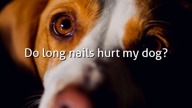 Do long nails hurt my dog?