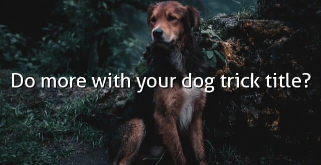 Do more with your dog trick title?