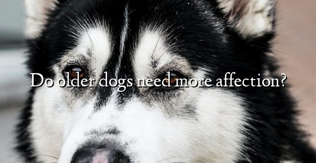 Do older dogs need more affection?
