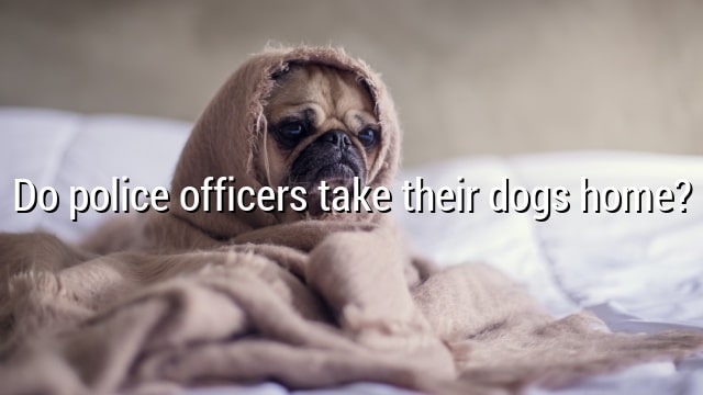 Do police officers take their dogs home?