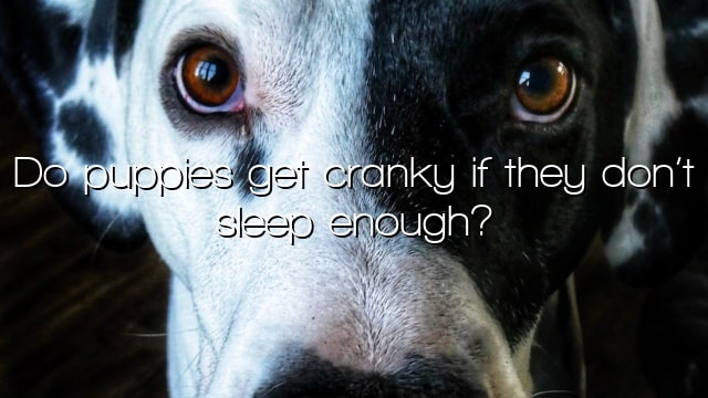 Do puppies get cranky if they don’t sleep enough?