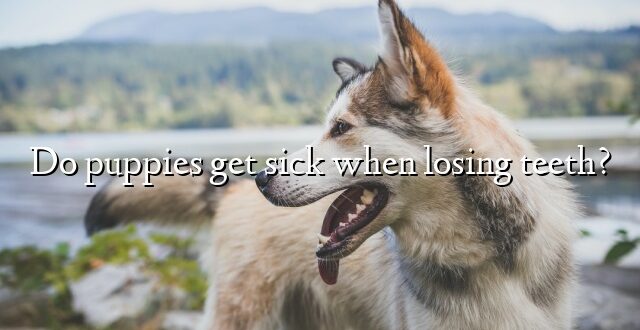 Do puppies get sick when losing teeth?
