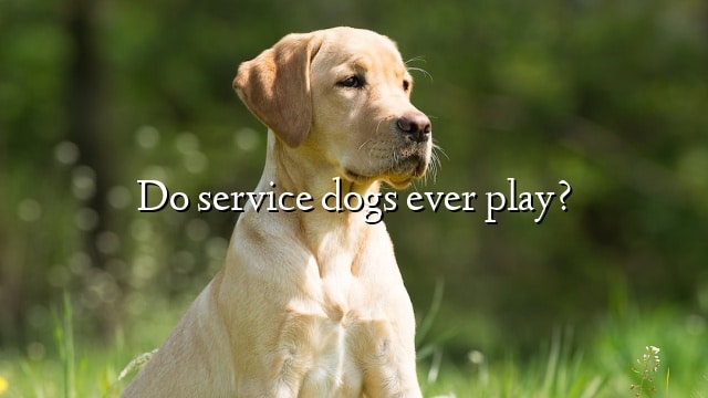 Do service dogs ever play?