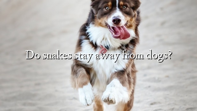 Do snakes stay away from dogs?