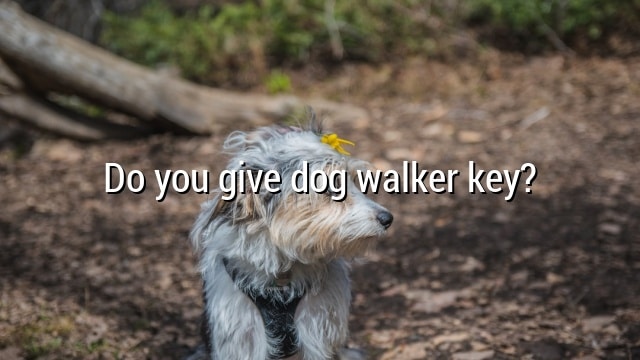Do you give dog walker key?