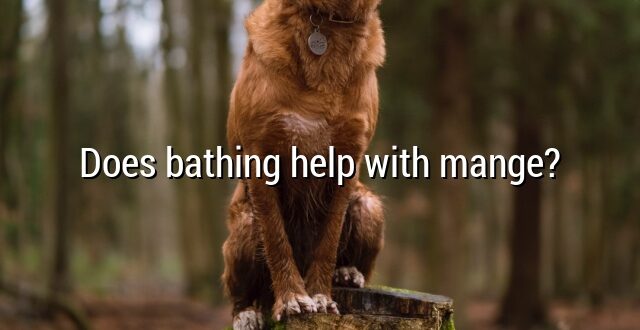 Does bathing help with mange?
