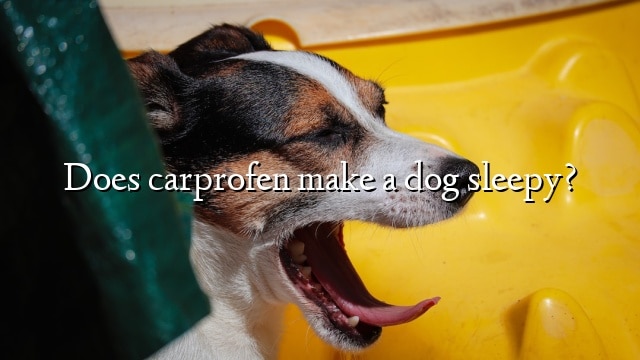 Does carprofen make a dog sleepy?