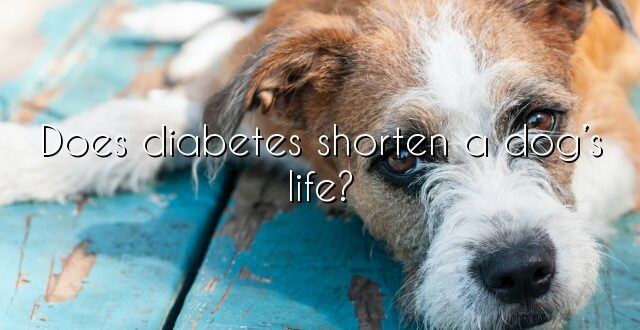 Does diabetes shorten a dog’s life?