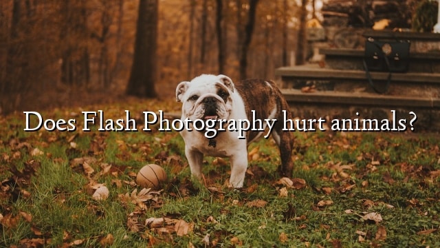 Does Flash Photography hurt animals?