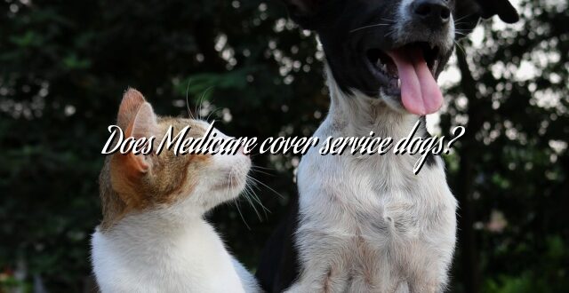 Does Medicare cover service dogs?