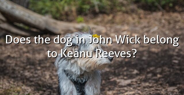 Does the dog in John Wick belong to Keanu Reeves?