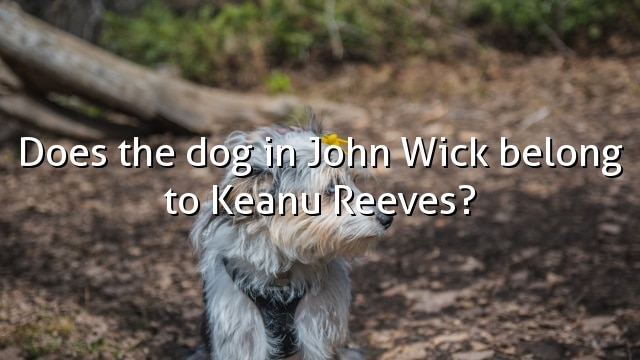 Does the dog in John Wick belong to Keanu Reeves?