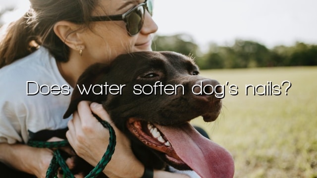 Does water soften dog’s nails?