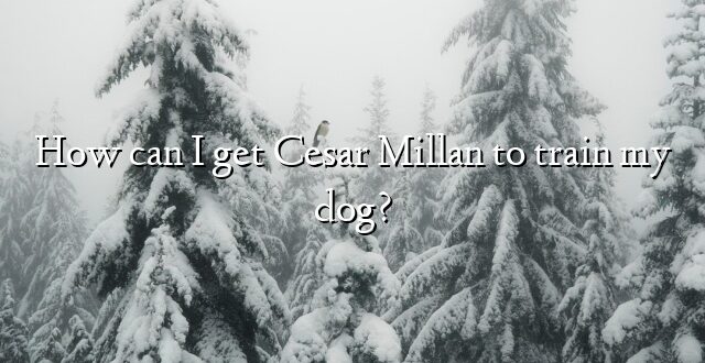 How can I get Cesar Millan to train my dog?