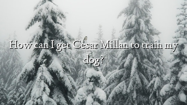 How can I get Cesar Millan to train my dog?