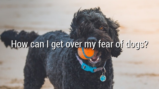 How can I get over my fear of dogs?
