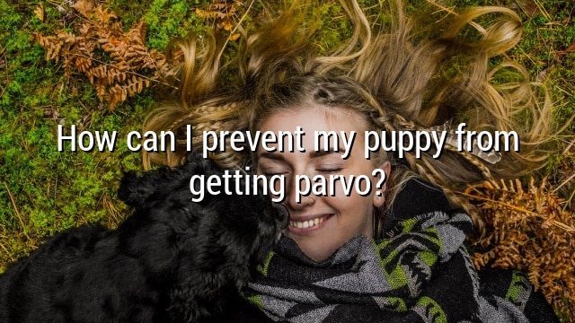 How can I prevent my puppy from getting parvo?