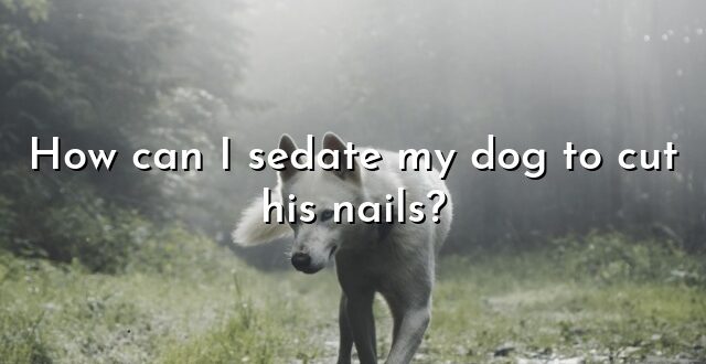 How can I sedate my dog to cut his nails?