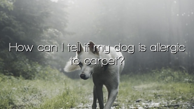 How can I tell if my dog is allergic to carpet?