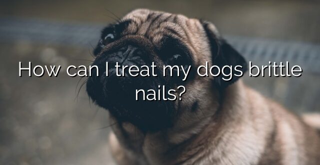 How can I treat my dogs brittle nails?