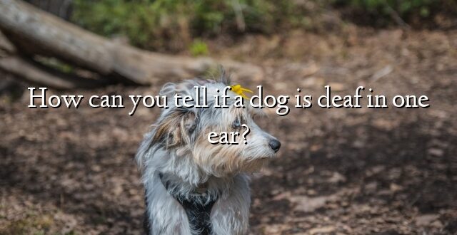 How can you tell if a dog is deaf in one ear?