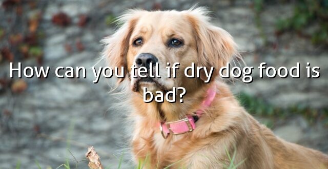 How can you tell if dry dog food is bad?