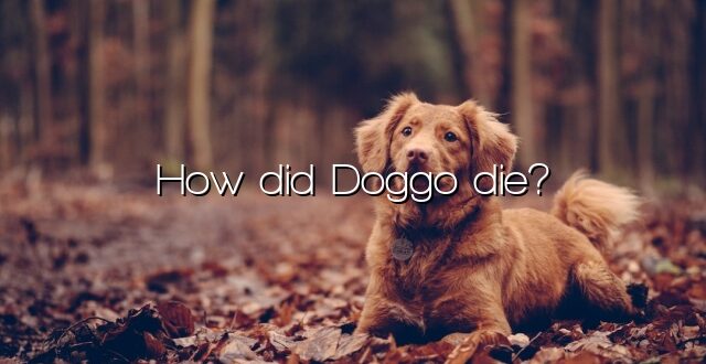 How did Doggo die?