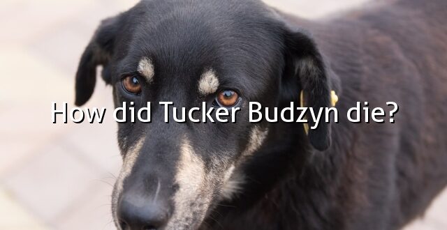 How did Tucker Budzyn die?