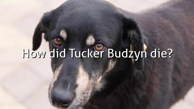 How did Tucker Budzyn die?