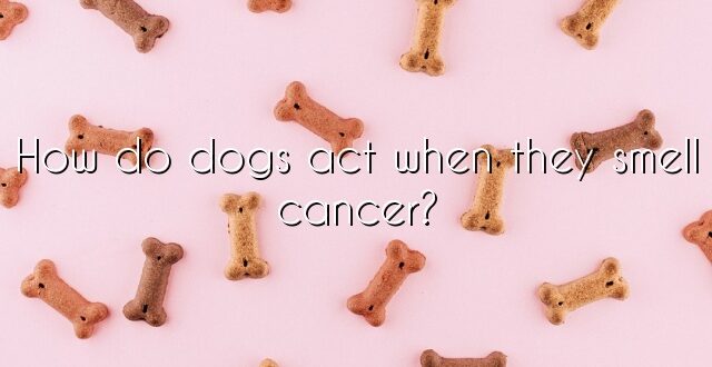 How do dogs act when they smell cancer?