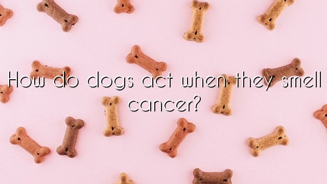 How do dogs act when they smell cancer?