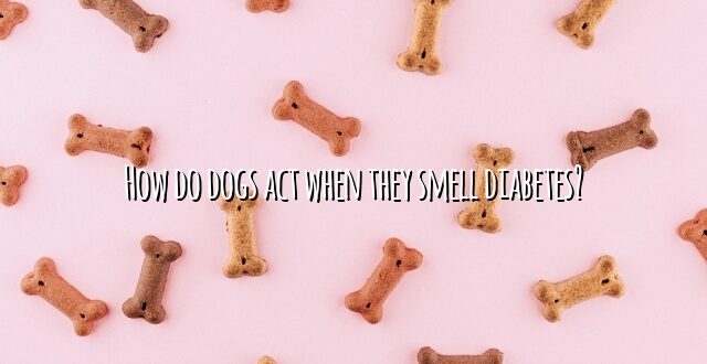How do dogs act when they smell diabetes?
