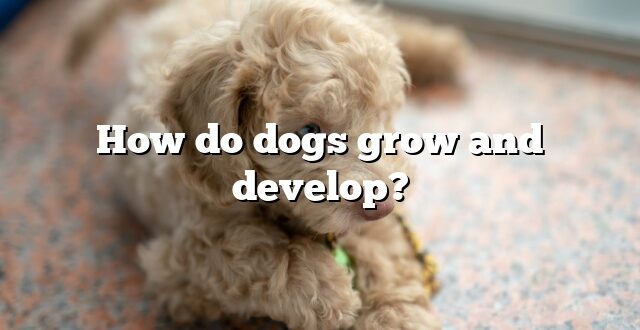 How do dogs grow and develop?