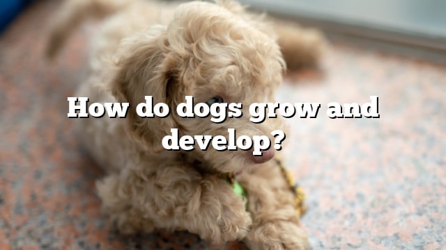 How do dogs grow and develop?