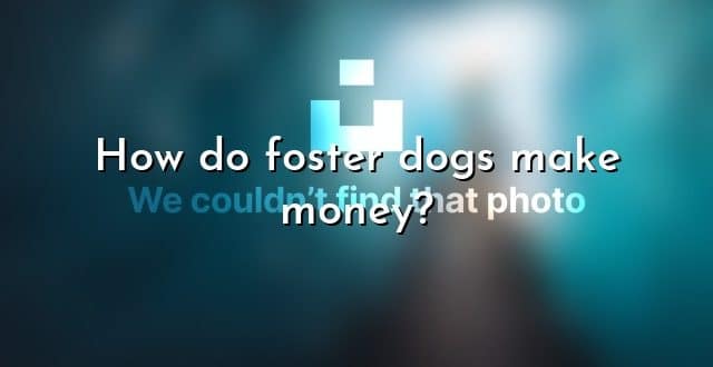 How do foster dogs make money?