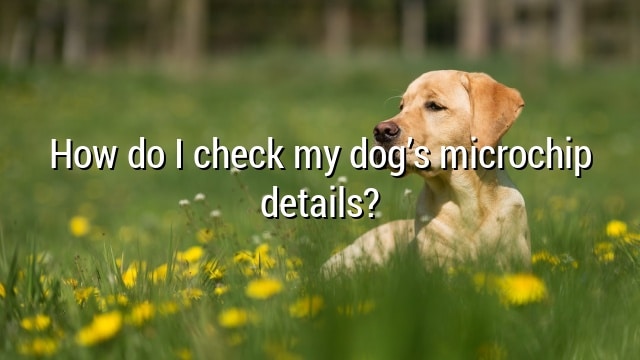 How do I check my dog’s microchip details?