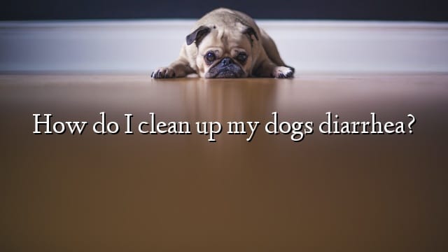 How do I clean up my dogs diarrhea?