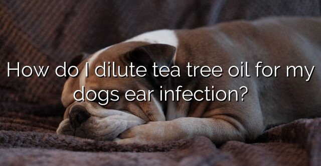 How do I dilute tea tree oil for my dogs ear infection?