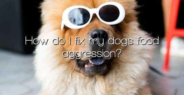 How do I fix my dogs food aggression?