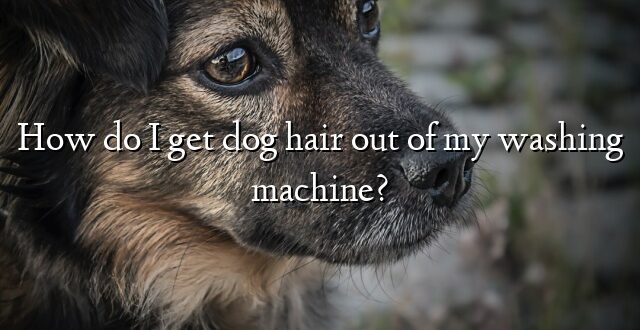 How do I get dog hair out of my washing machine?