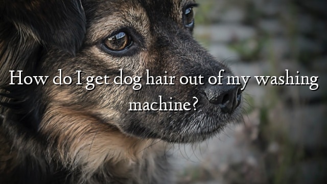 How do I get dog hair out of my washing machine?