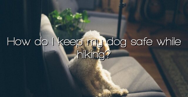 How do I keep my dog safe while hiking?