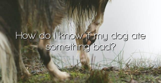 How do I know if my dog ate something bad?