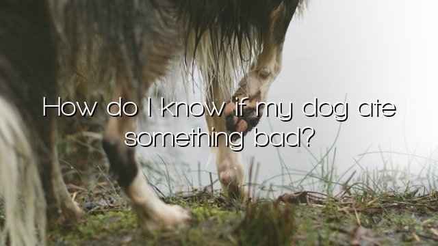 How do I know if my dog ate something bad?
