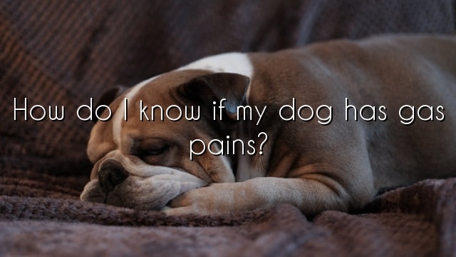 How do I know if my dog has gas pains?
