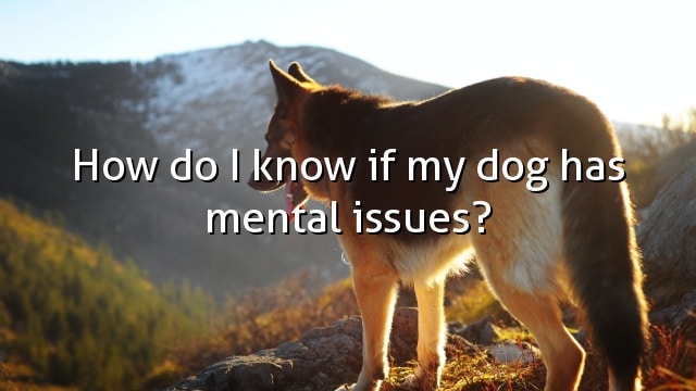 How do I know if my dog has mental issues?